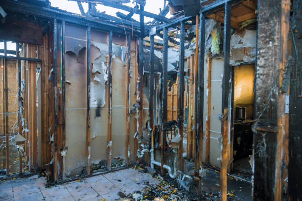 Professional Fire Damage Assessment technician working in Dassel, MN