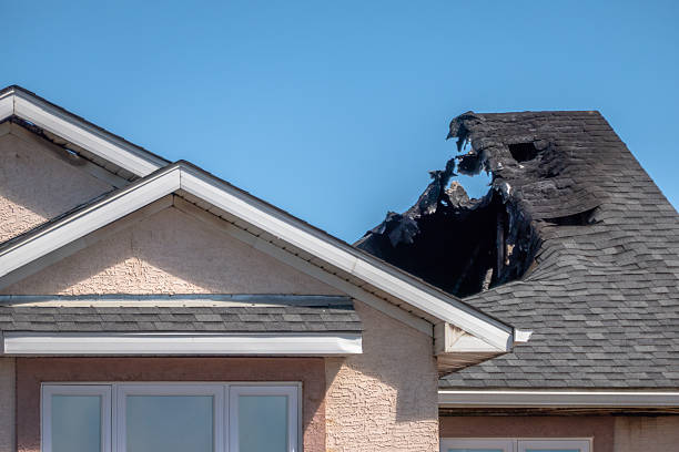 Top rated local Fire Damage Assessment specialists in Dassel, MN